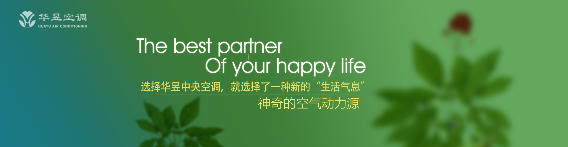 哑子吃黄连网